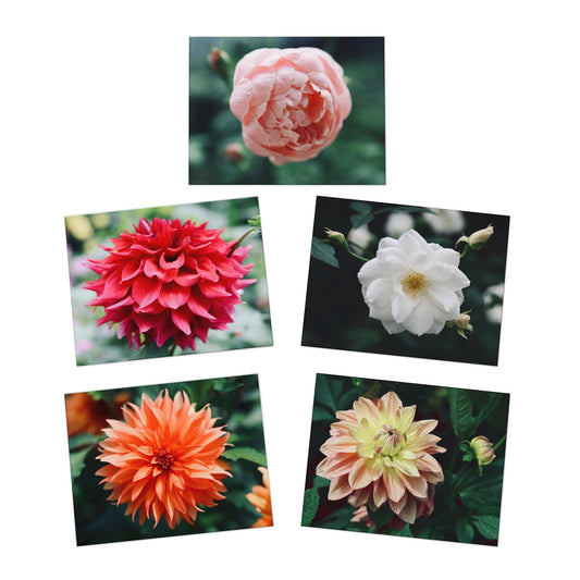 Full Bloom Floral Greeting Cards (5-Pack)